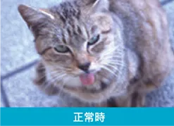 正常時の見え方