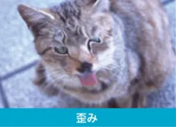 加齢黄斑変性で物が歪んで見える状態