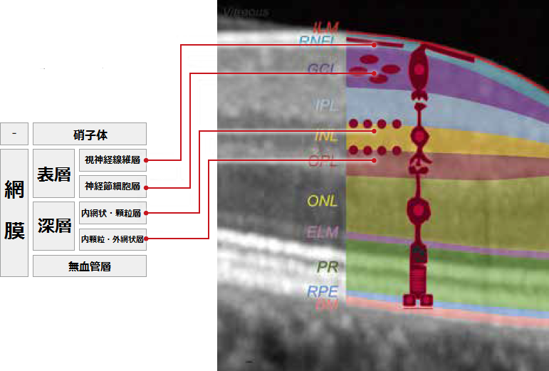 OCT-ANGIOGRAPHY